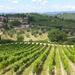 Private Tour: Chianti Region Tour by Minivan