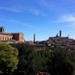 Private Tuscany Drive Excursion: Siena and San Gimignano Day Trip from Florence