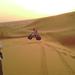 Dubai Desert Safari and Dinner Tour