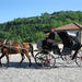 Private Tour to Sighnaghi and Bodbe from Tbilisi