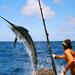 Big Game Fishing All Inclusive Tour with Lunch from Split