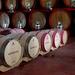 Tuscany All Day Wine Tour: Siena and San Gimignano from Rome