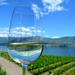 Soapstone Carving with Wine and Culinary Experience at Okanagan Vineyard