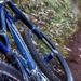 Santa Cruz Mountain Bike Tour