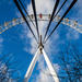 South Bank Photography Tour - Small Group