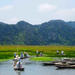 2-Day Cuc Phuong Wildlife Experience from Hanoi