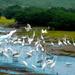 3-Day Tour Exploring Tropical Forests and National Parks in Northern Vietnam from Hanoi 