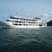 Overnight Halong Bay Cruise on the Starlight