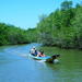 Can Gio Mangrove and Monkey Island Adventure Tour from Ho Chi Minh City