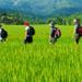 Mai Chau to Pu Luong 3-Day Tour from Hanoi