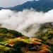 3-Night Sapa Easy Trek and Homestay with Round Trip Transfer from Hanoi
