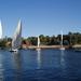 Felucca Day Cruise in Luxor