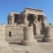 Private Tour to the Temple of Kom Ombo and Edfu from Luxor 