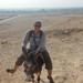 Ride a Donkey Along the West Bank from Luxor