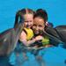 Dolphin Swimming in Sharm el Sheikh 