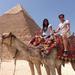 One Day Trip to Cairo by Plane From Sharm el Sheikh