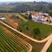 Viticulture and Wine-Tasting 3-Hour Trip from Barcelona