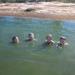 6-Night Family Outback Action Tour of Cunnamulla
