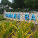 Camana Bay Tour Plus Royal Palms Beach