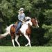 Horse Riding Tour in Rhodope Mountains from Plovdiv