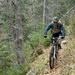 Mountain Biking in Vitosha from Sofia