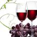 Varna: Become a Winemaker Experience