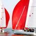 Sailing in Mumbai Harbour