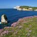 Isle of Wight Overnight Tour from London 