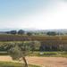 Private Tuscany Wine Tour Experience from Florence