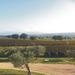 Tuscany Winery Tour and Sightseeing