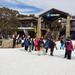 Mt Buller Day Trip from Melbourne