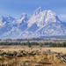 Grand Teton National Park Guided Tour From Jackson Hole