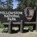 Yellowstone Upper Loop Self Guided Driving Tour from Jackson Hole