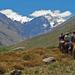 Horseback Riding in the Andes from Santiago