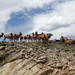 Day Trip to Mount Evans from Denver