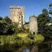 Cork Shore Excursion: Cork Tour Including Kinsale and Blarney Castle 