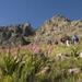  Private Hiking Tour of Table Mountain 