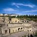 Herculaneum and Pompeii Tour from Sorrento