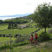 E-bike Tour: Lake Garda and Bardolino Wine Tasting