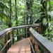 2-Day Cinco Ceibas Rainforest Tour from San Jose