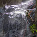 Waterfall Rappelling at Bocawina Rainforest 