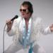 Rock N Roll Cruise on Sydney Harbour