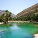 Private Tour: Day Trip Wahiba Sands Wadi Bani Khalid Tour