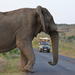 Hluhluwe Imfolozi Game Reserve Day Tour from Durban