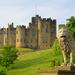 Viking Coast and Alnwick Castle Small Group Day Tour from Edinburgh