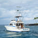 Full Day Sport Fishing Charter