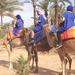 Marrakech Half-Day Camel Ride in Palm Grove