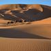 Overnight Tour from Marrakech to Zagora Including Desert Camp and Camel Trek