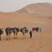 8-Day Camel Trekking Tour in the Moroccan Sahara Desert from Marrakech 
