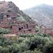 Full-Day Group Tour to Ourika Valley from Marrakech